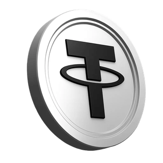 プラットフォーム情報セクション内のTether USDTコインのグラフィック